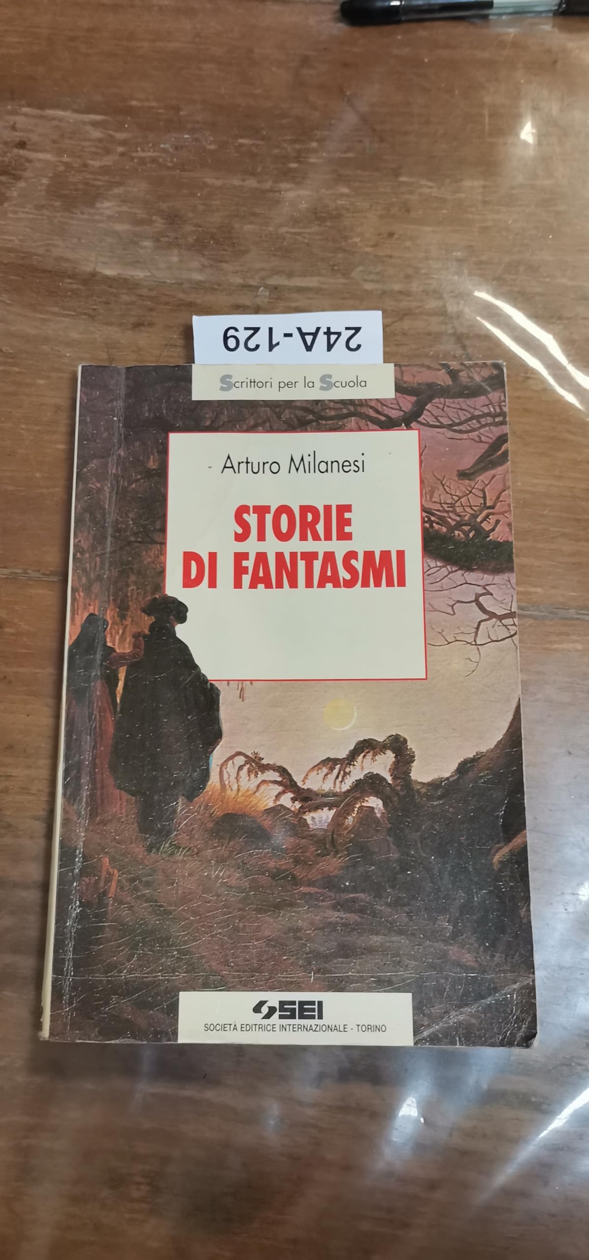 Storie di fantasmi. Per la Scuola media (Scrittori per la scuola) Professional & Reference Books