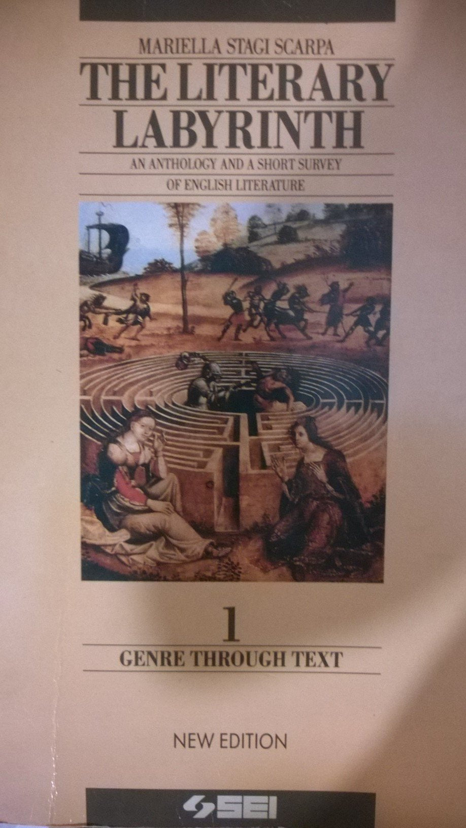 The new literary labyrinth. Genre through text. Per le Scuole superiori (Vol. 1) Professional & Reference Books