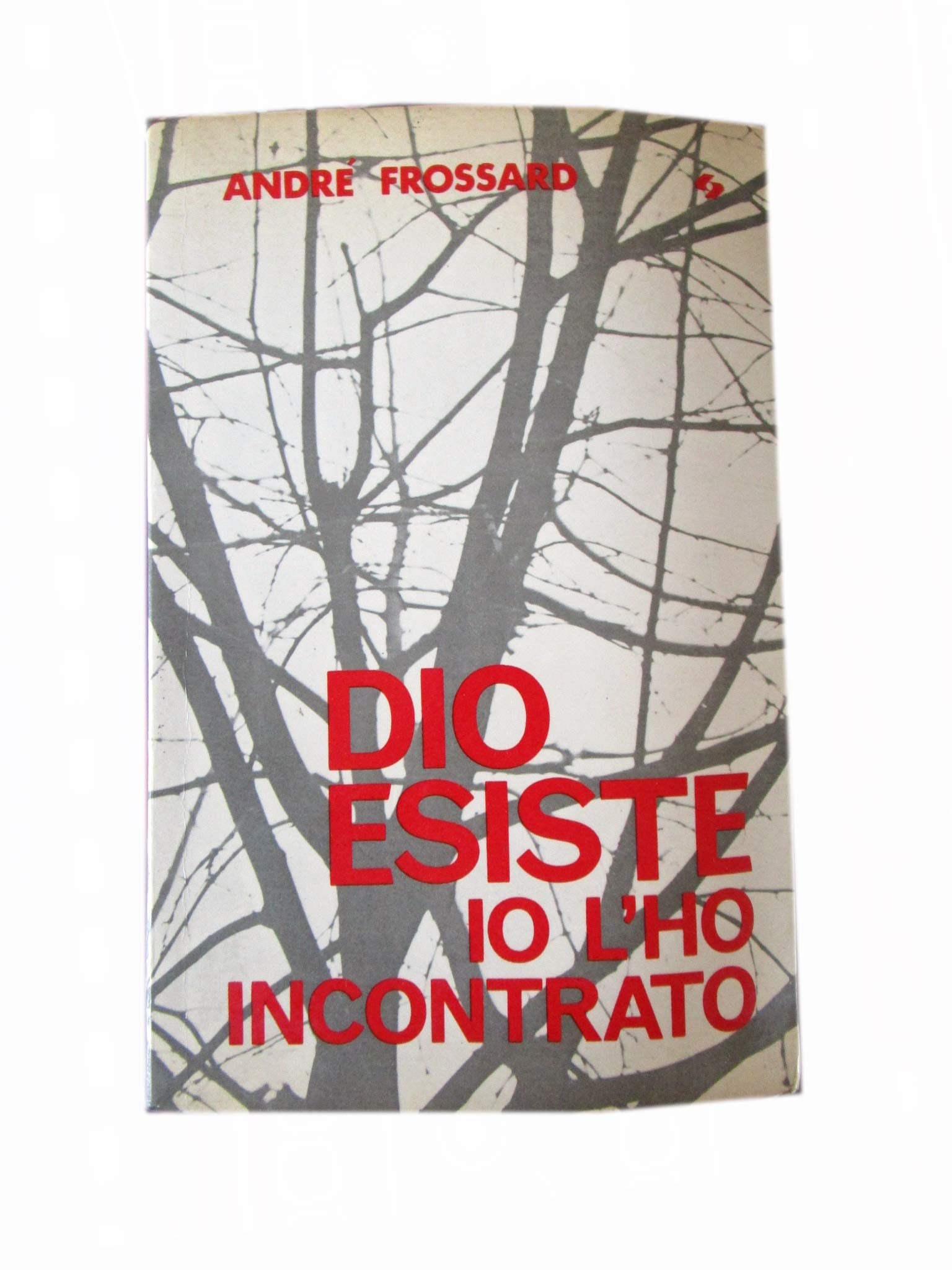Dio esiste, io l'ho incontrato (Il popolo cristiano) Religion & Esotericism