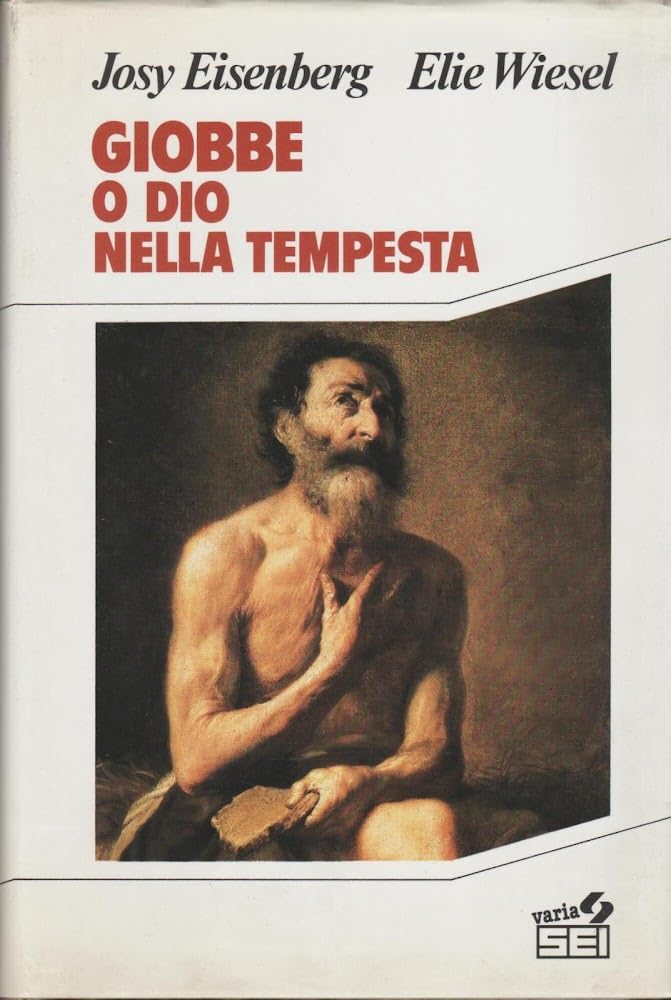 Giobbe o Dio nella tempesta book