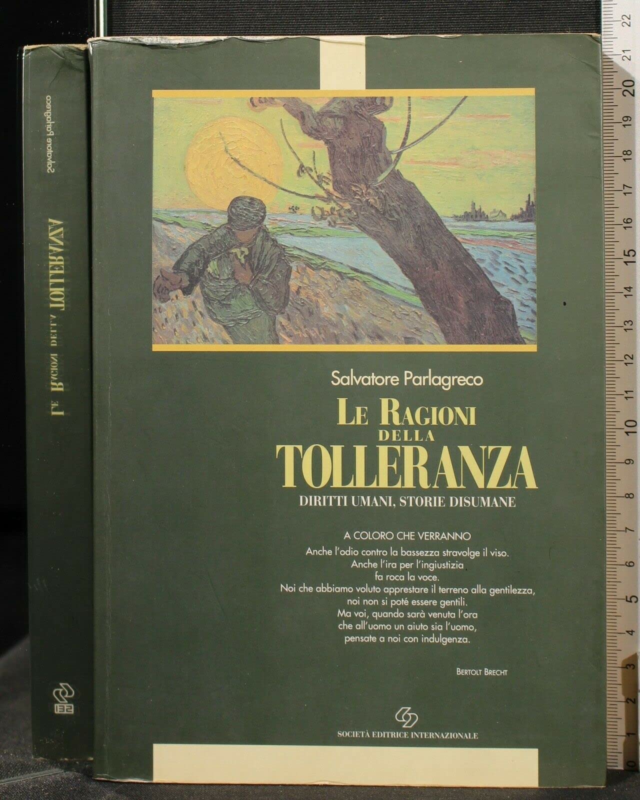 Le ragioni della tolleranza. Diritti umani, storie disumane (Scrittori per la scuola) Social Sciences