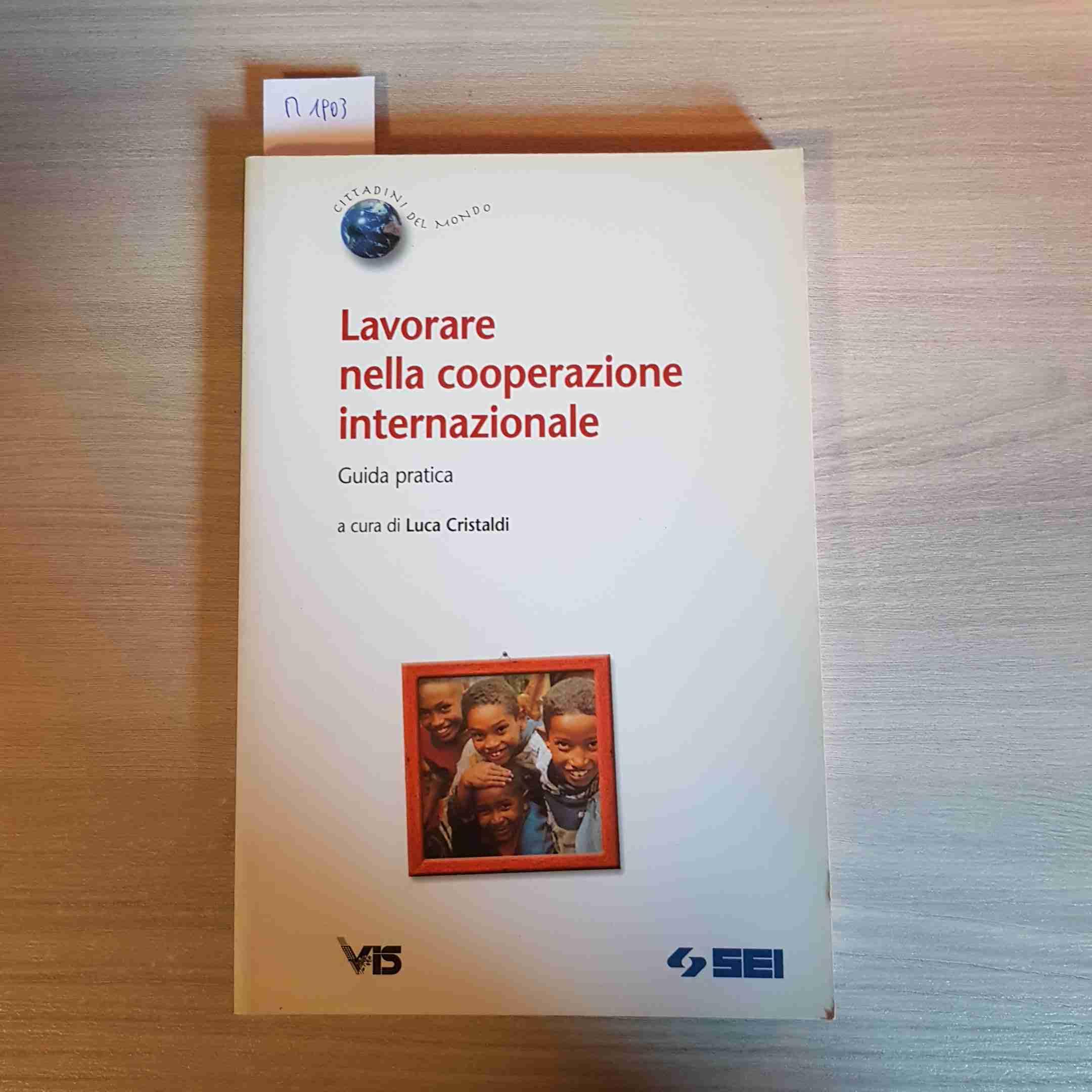 Lavorare nella cooperazione internazionale. Guida pratica Business, Finance & Career