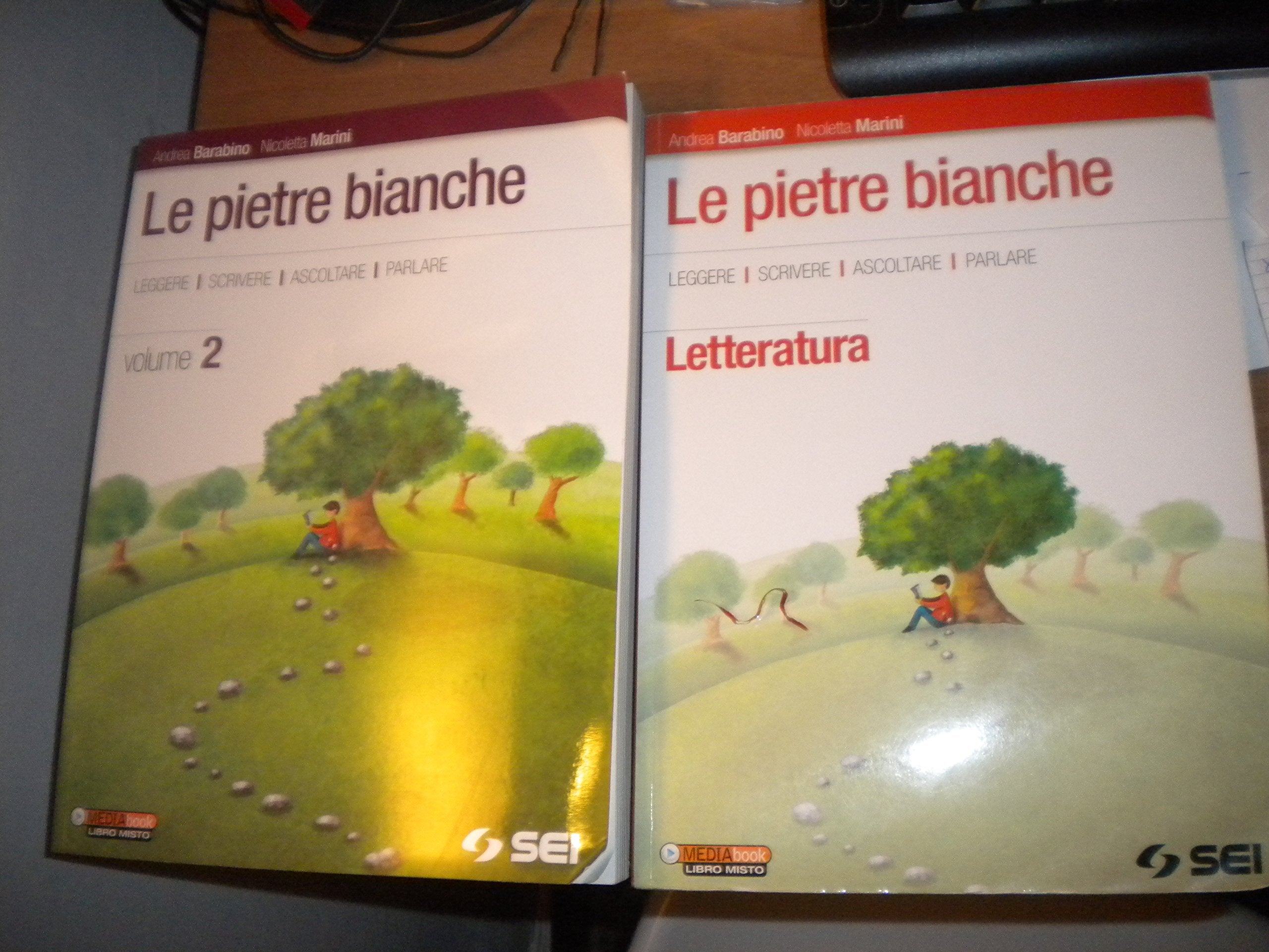 Le pietre bianche. Letteratura. Per la Scuola media. Con espansione online (Vol. 2) Professional & Reference Books