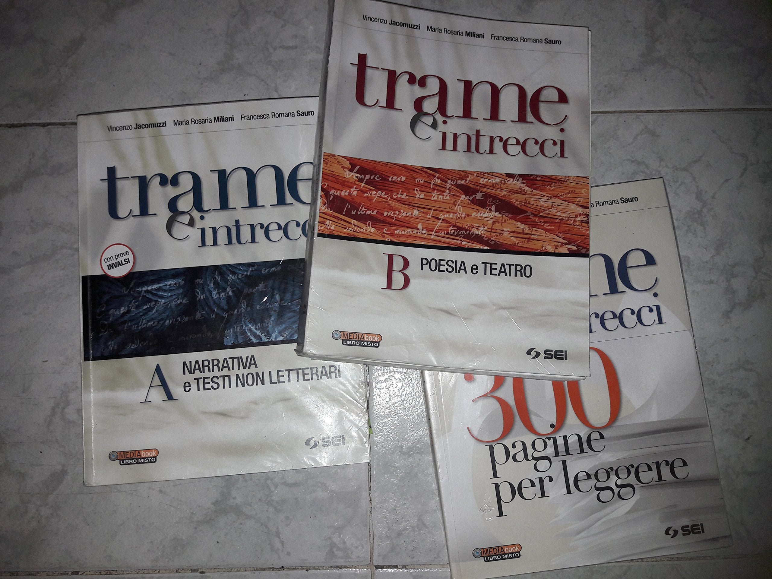 Trame e intrecci. Vol. A-B. Con 300 pagine per leggere. Per le Scuole superiori Professional & Reference Books