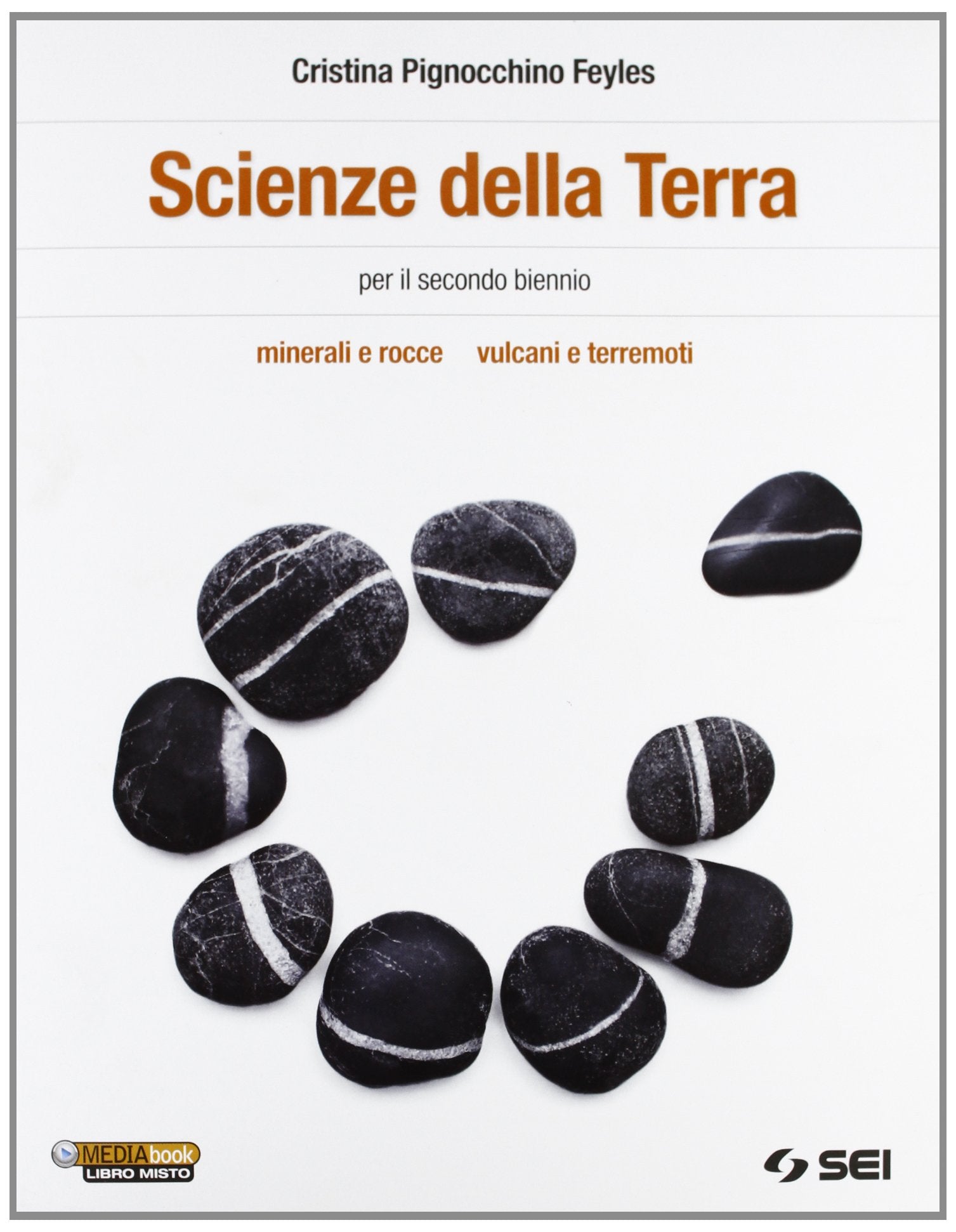 Scienze della terra. Minerali e rocce. Vulcani e terremoti. Per le Scuole superiori Professional & Reference Books