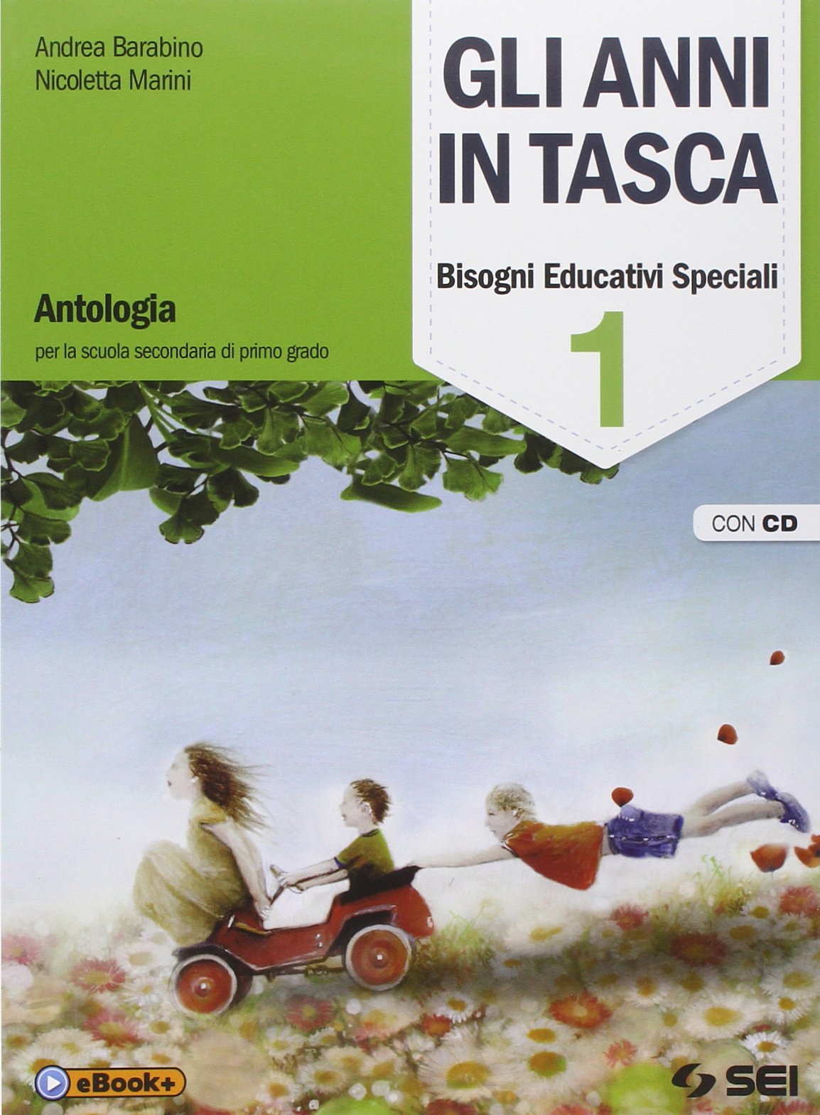 Gli anni in tasca. Bisogni educativi speciali. Per la Scuola media. Con CD Audio (Vol. 1) book