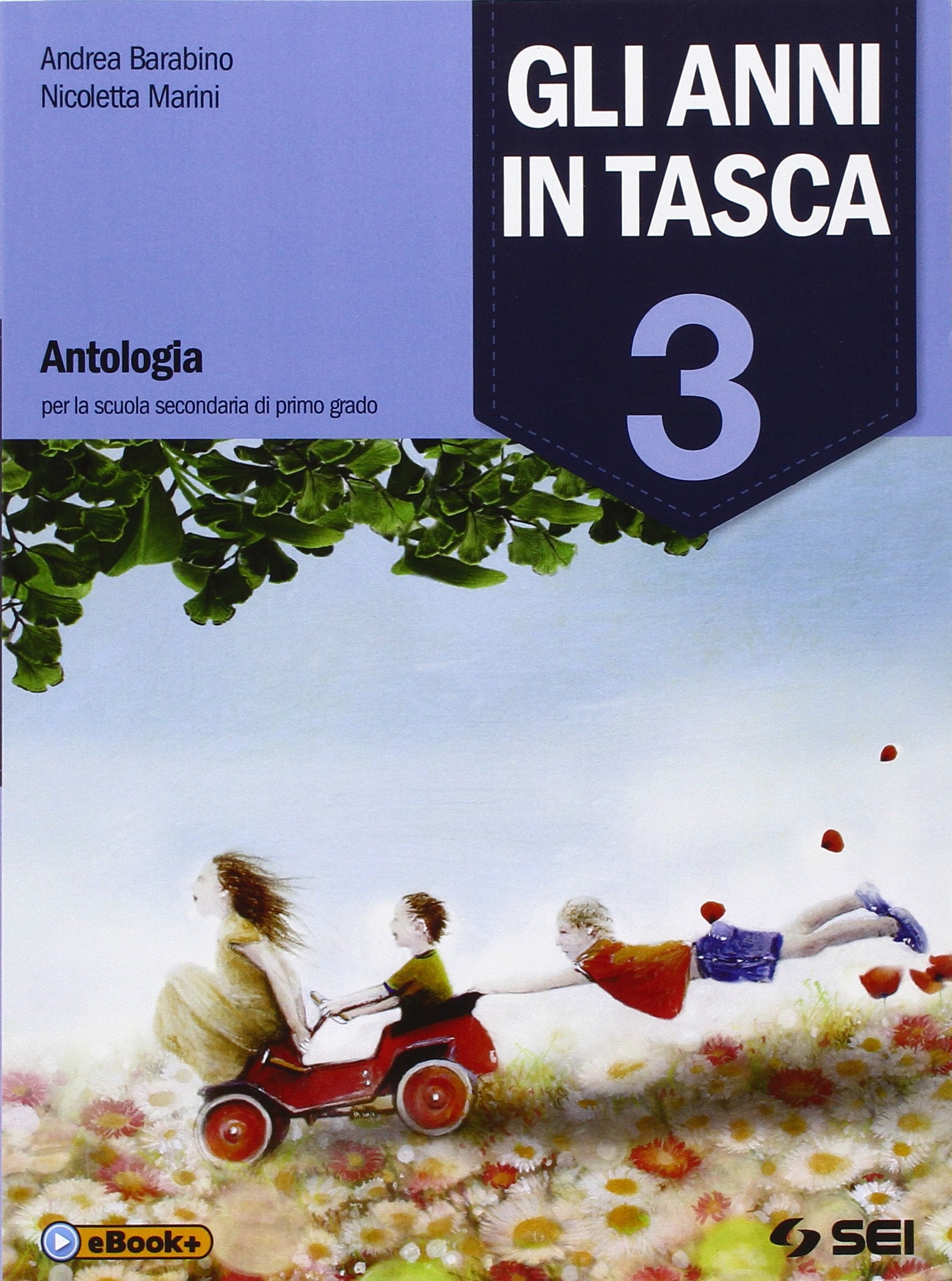 Gli anni in tasca. Per la Scuola media. Con e-book. Con espansione online (Vol. 3) book