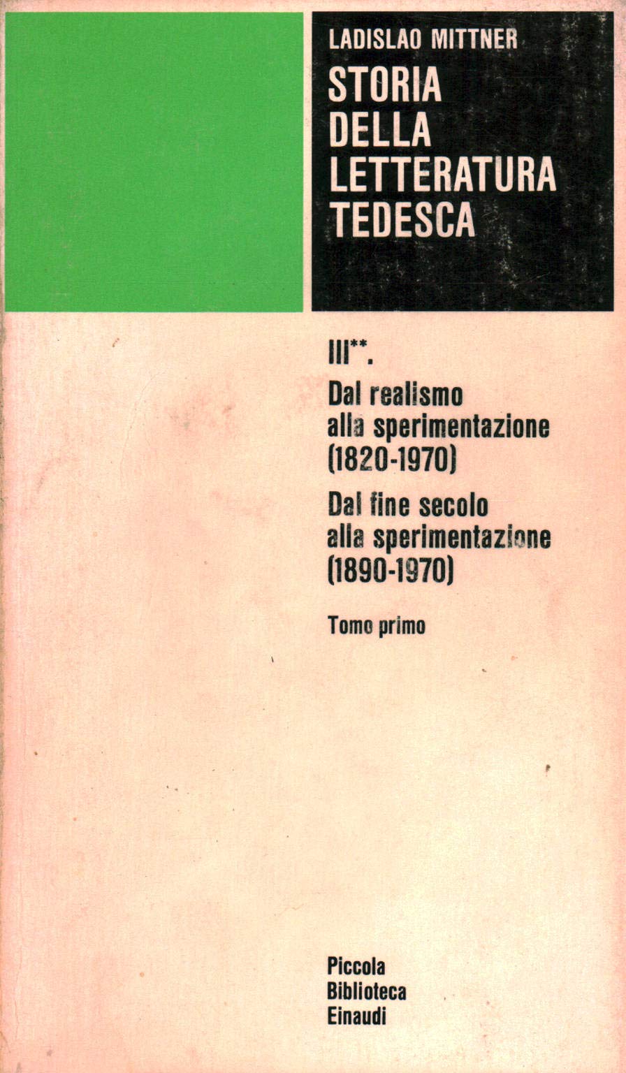 Storia della letteratura tedesca. Dal realismo alla sperimentazione (1820-1890) (Vol. 3/1) Fiction