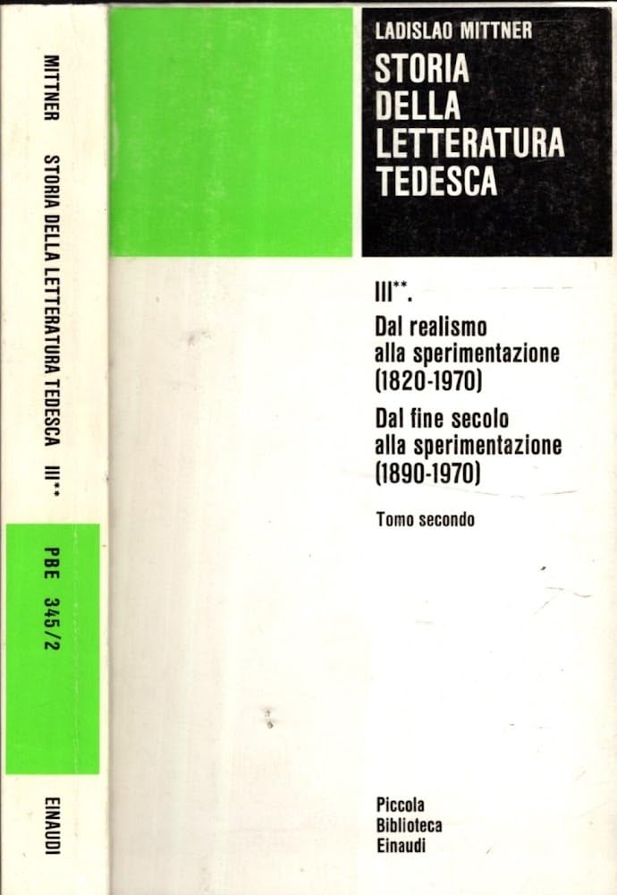 Storia della letteratura tedesca. Dal realismo alla sperimentazione (1890-1970) (Vol. 3/2) (Piccola biblioteca Einaudi) Contemporary literature