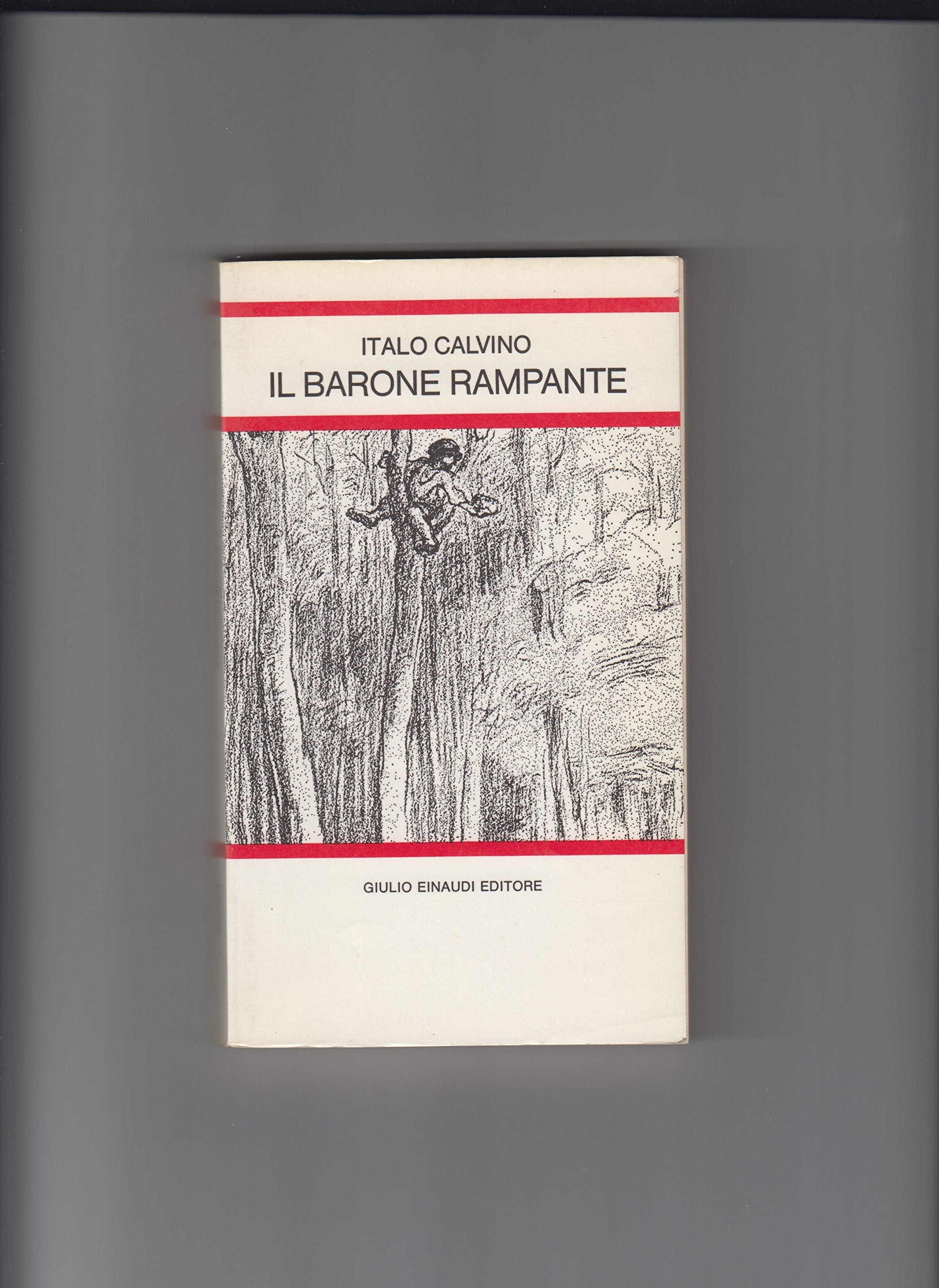 Il Barone Rampante book