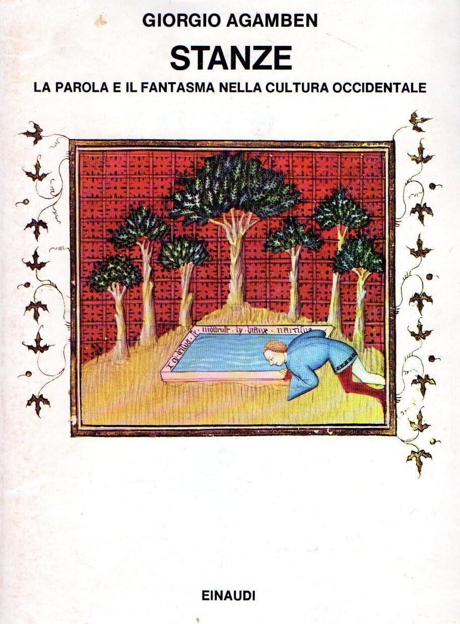 Stanze. La parola e il fantasma nella cultura occidentale Books