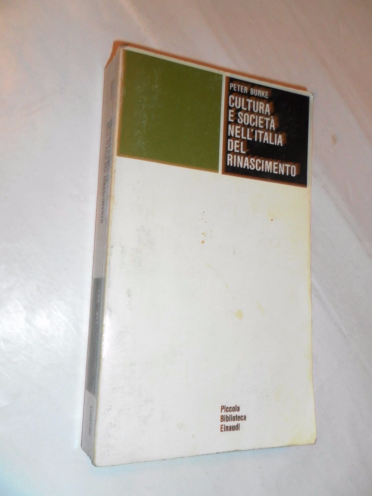 Economia e società nell'Inghilterra medievale dal XII al XVI secolo (Piccola biblioteca Einaudi, Band 347) Politics & History