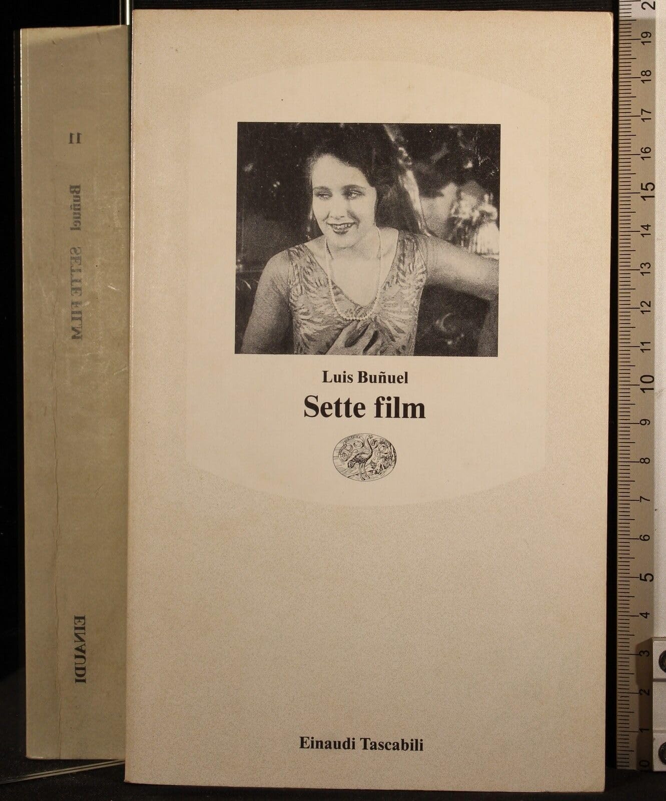 Sette film: L'età dell'oro, Nazarin, Viridiana, L'angelo sterminatore, Simone del deserto, La via lattea, Il fascino discreto della borghesia (Einaudi tascabili, Band 11) Film, Art & Culture
