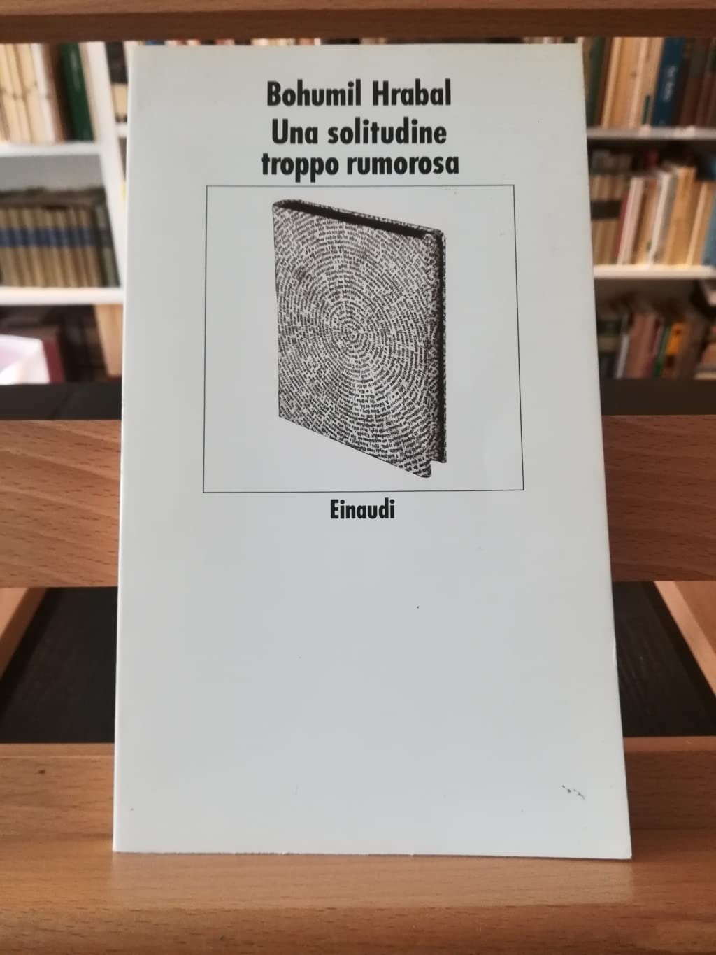 Una solitudine troppo rumorosa book