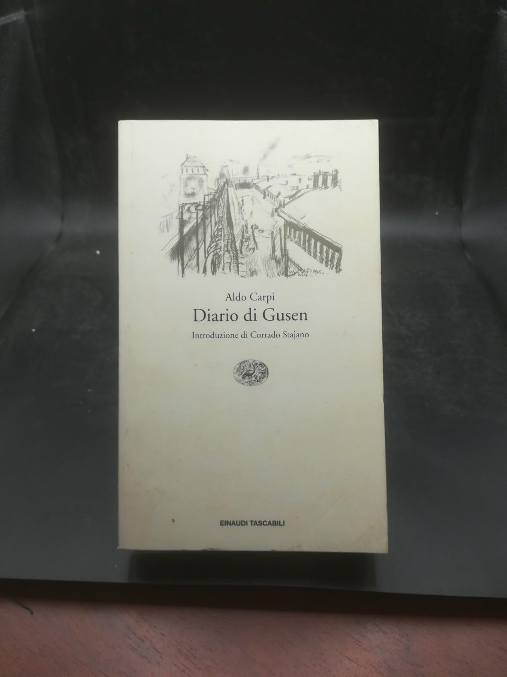 Diario di Gusen (Einaudi tascabili, Band 165) Essays & Short Stories