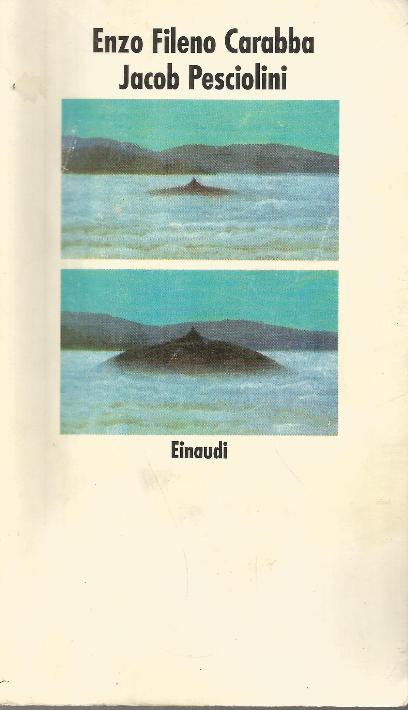 Jakob Pesciolini (Nuovi Coralli, Band 467) Contemporary literature