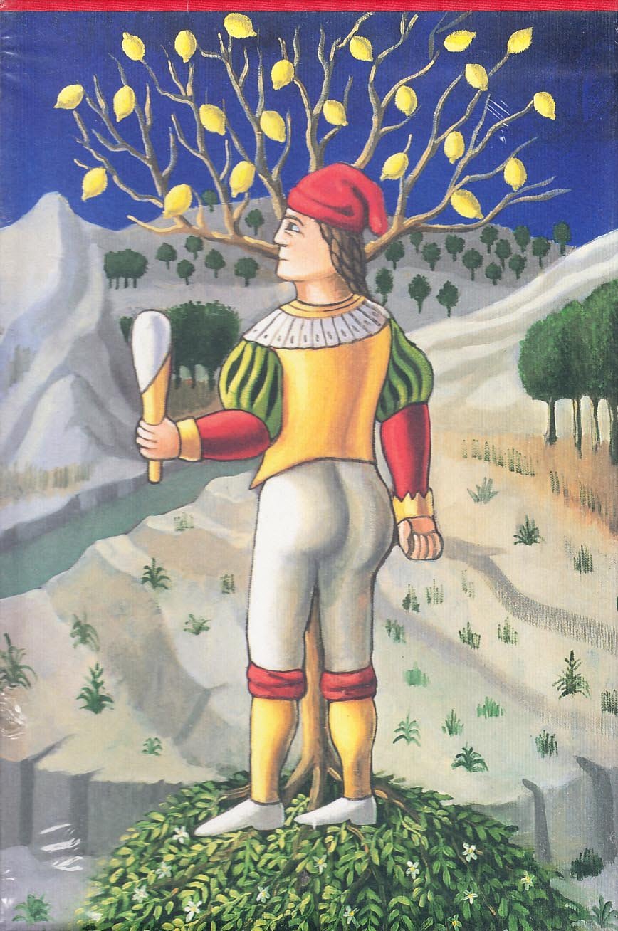 Fiabe campane. I novantanove racconti delle dieci notti book