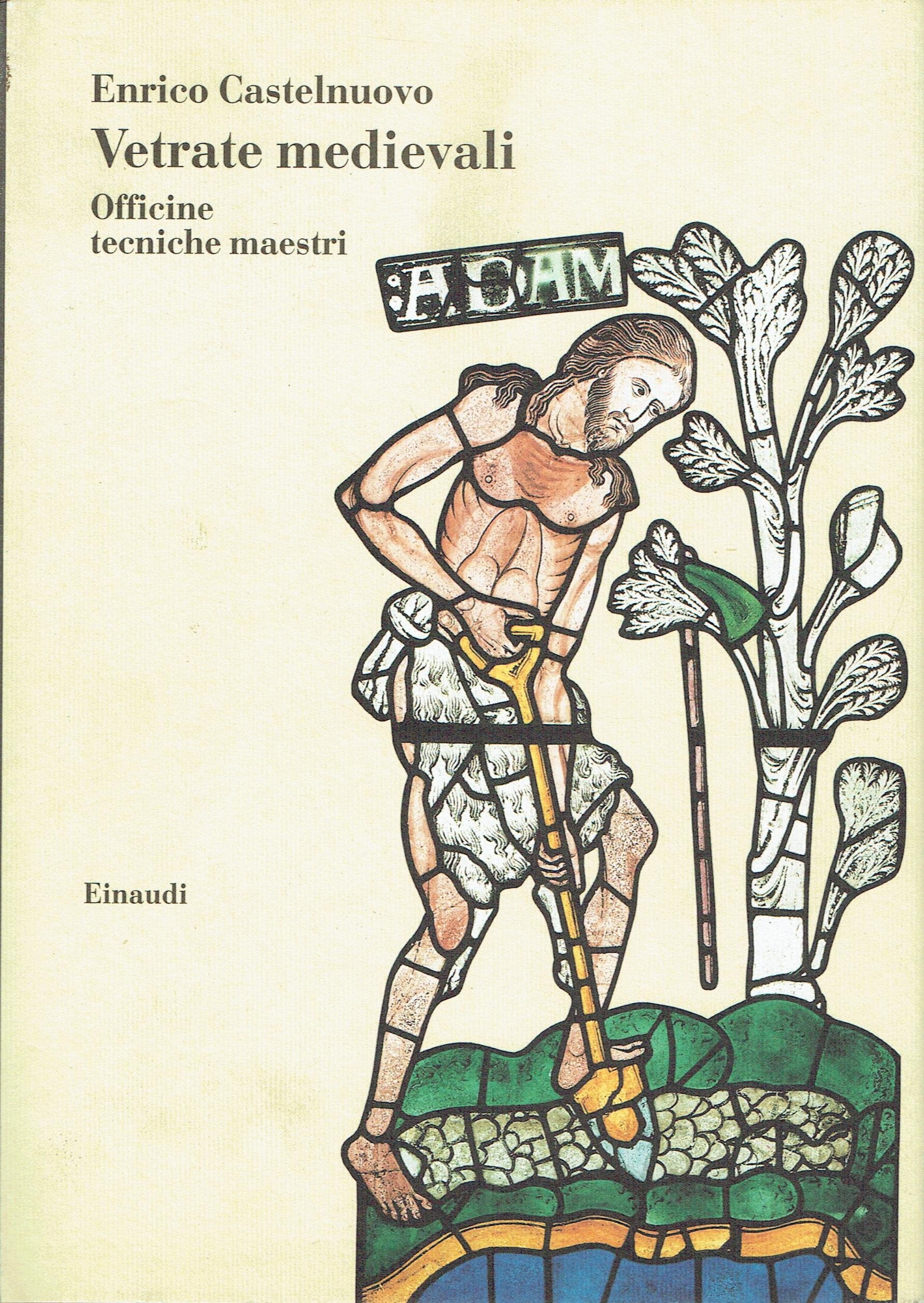 Vetrate medievali. Officine, tecniche, maestri book