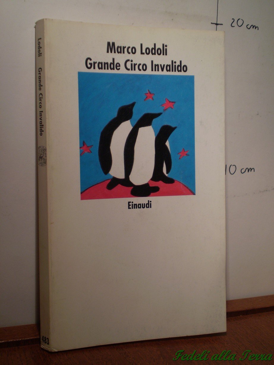 Grande circo invalido (Nuovi Coralli, Band 483) Contemporary literature