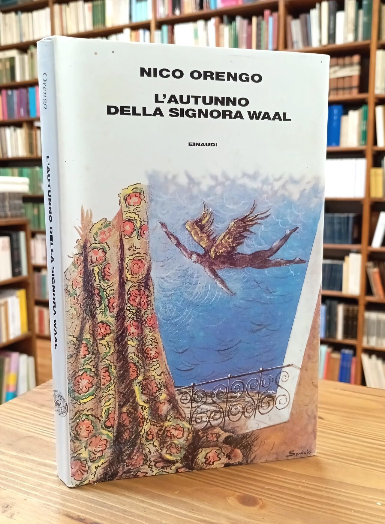 L'autunno della signora Waal book