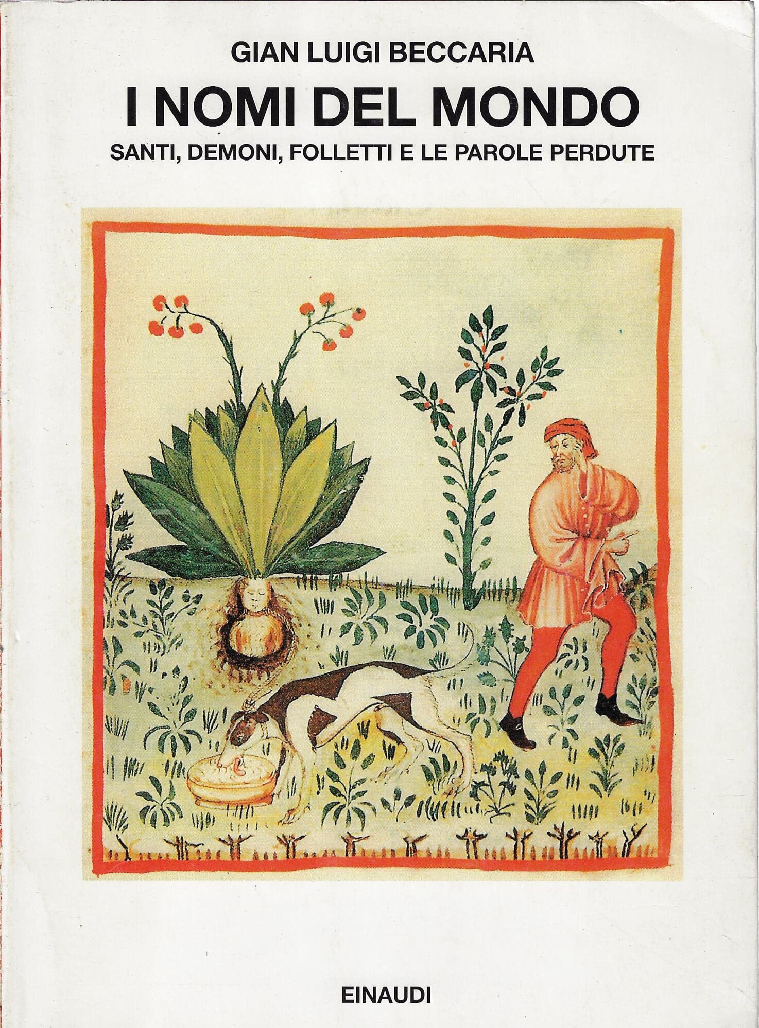 I nomi del mondo. Santi, demoni, folletti e le parole perdute (Saggi, Band 799) Books