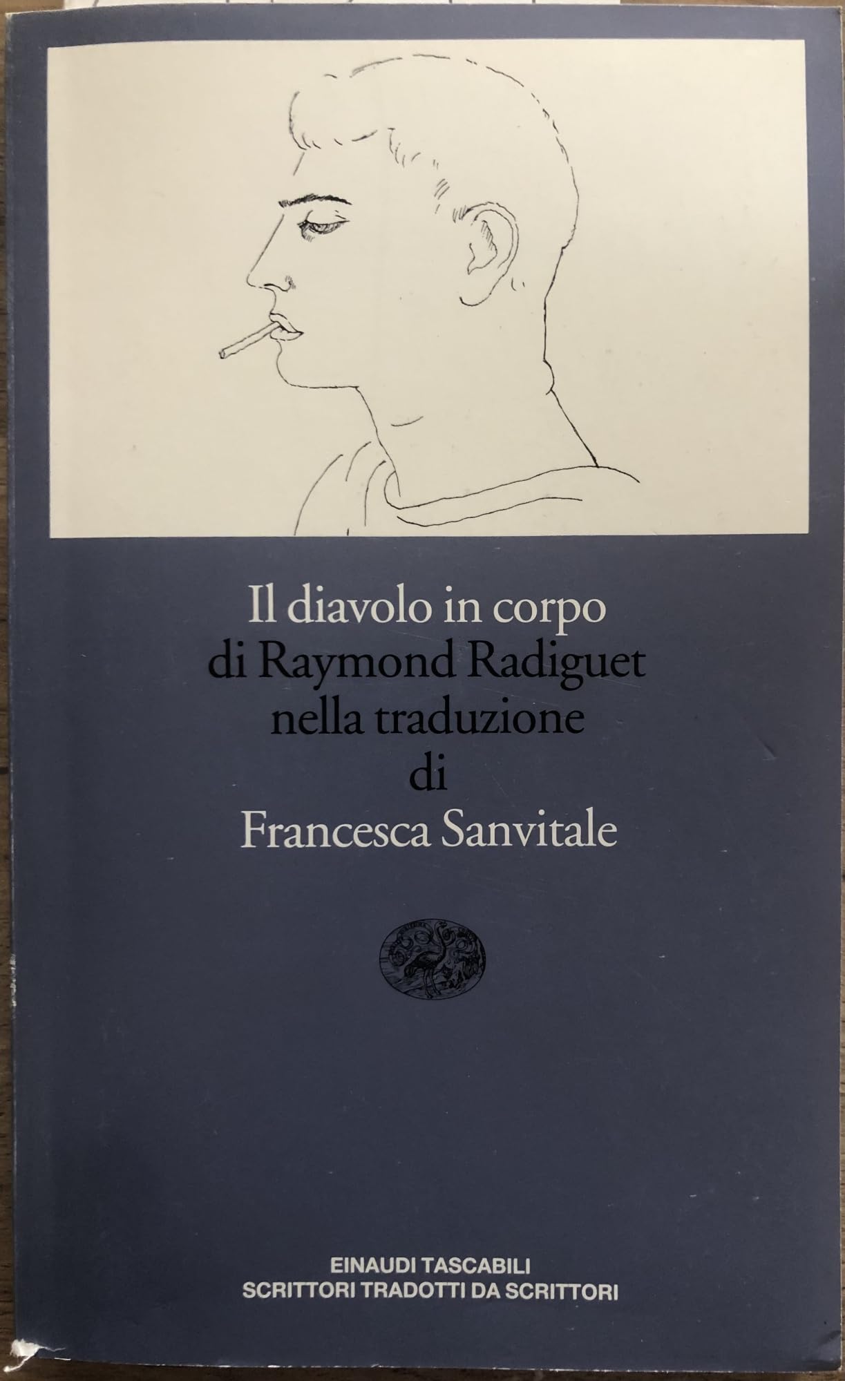 Il diavolo in corpo book