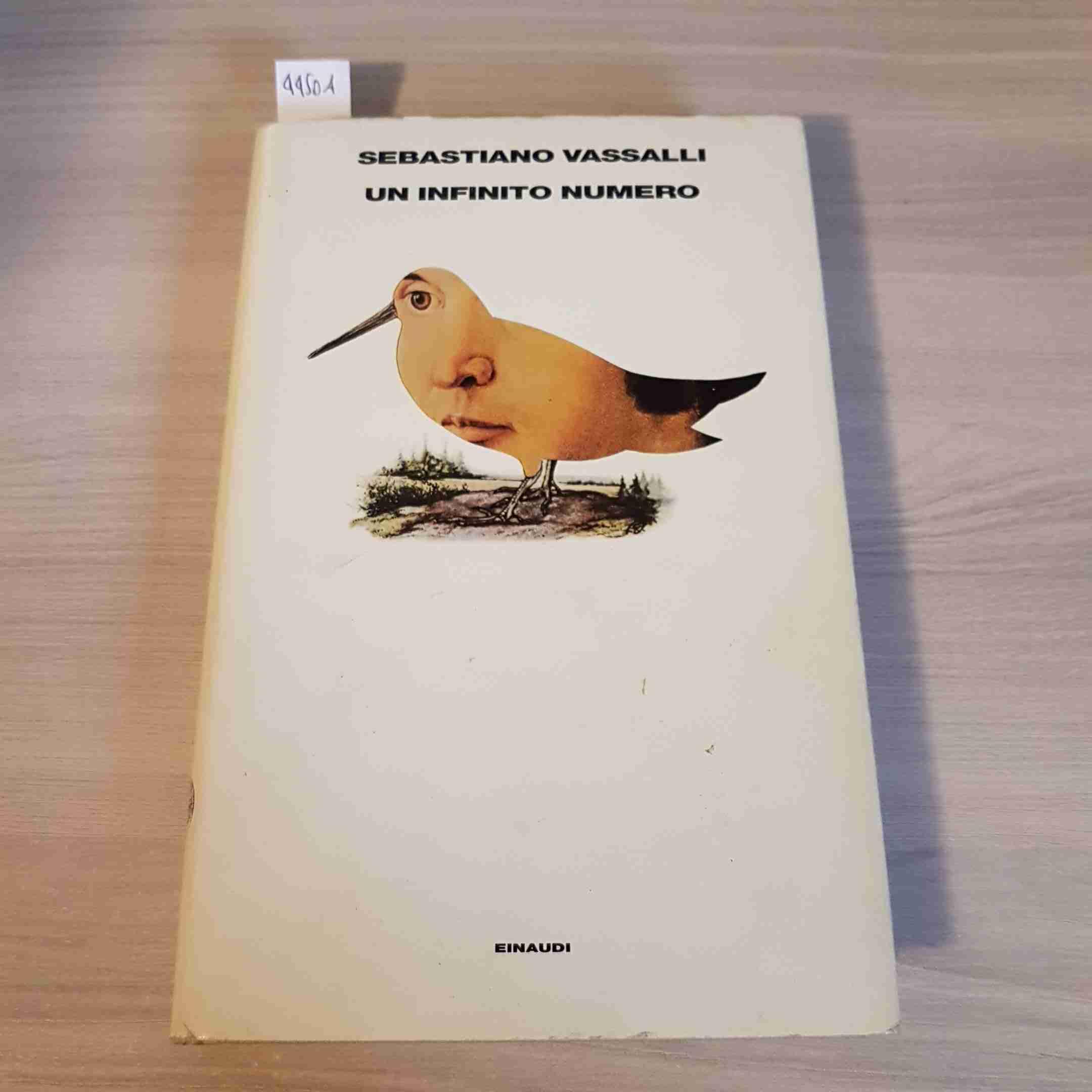 Un infinito numero: Virgilio e Mecenate nel paese dei Rasna (Supercoralli) Contemporary literature