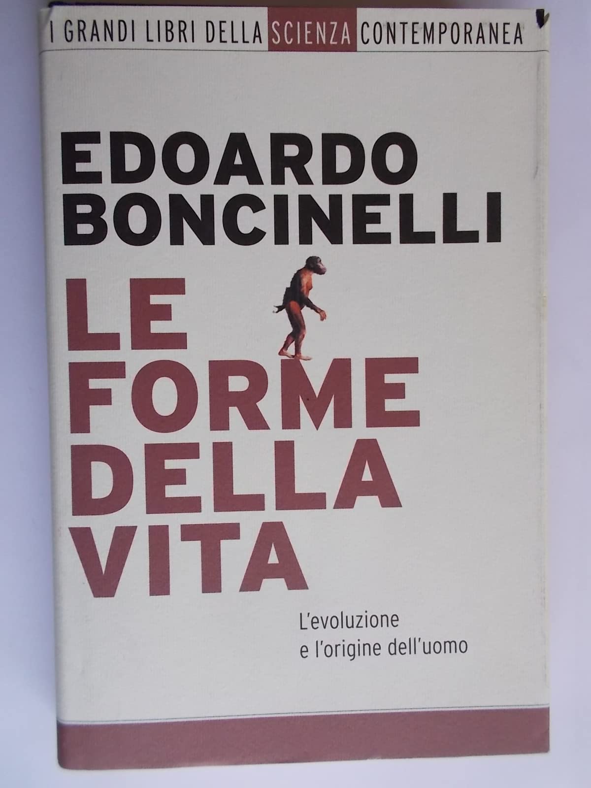 Le forme della vita. L'evoluzione e l'origine dell'uomo (Grandi tascabili, Band 730) Natural Sciences