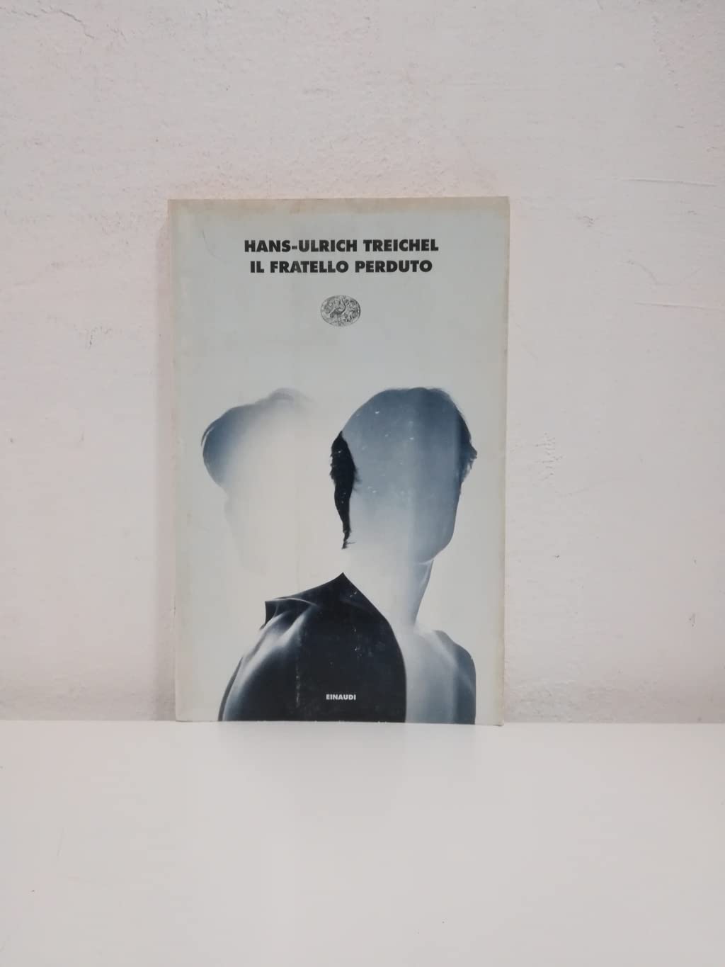 Il fratello smarrito book