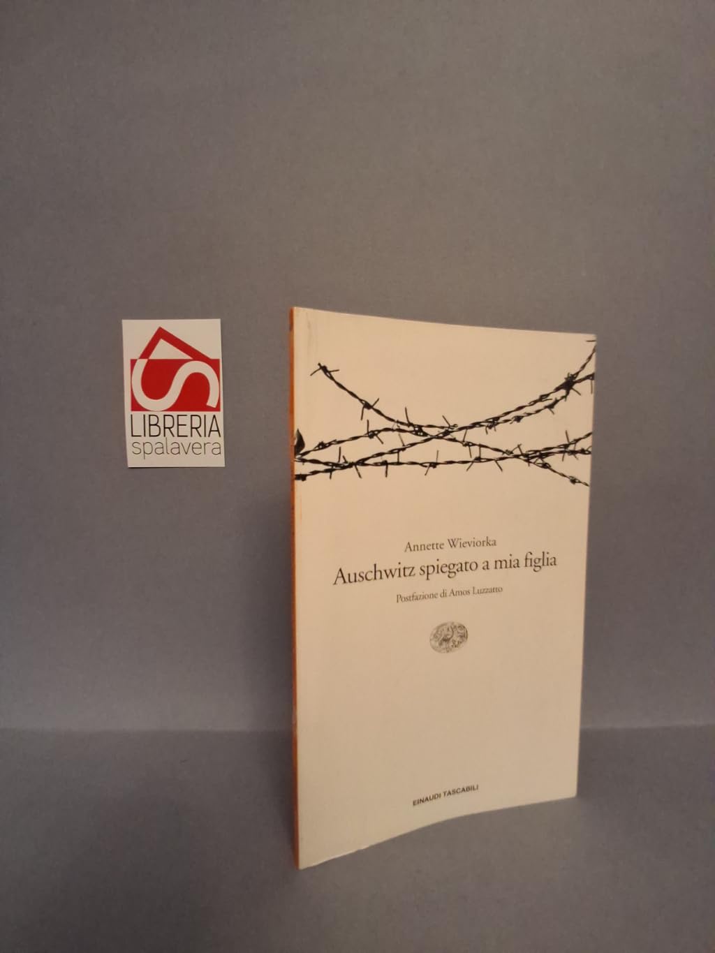 Auschwitz spiegato a mia figlia (Einaudi tascabili, Band 667) German history