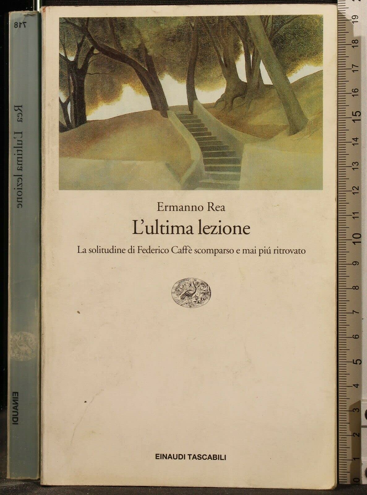 L'ultima lezione. La solitudine di Federico Caffè scomparso e mai più ritrovato book