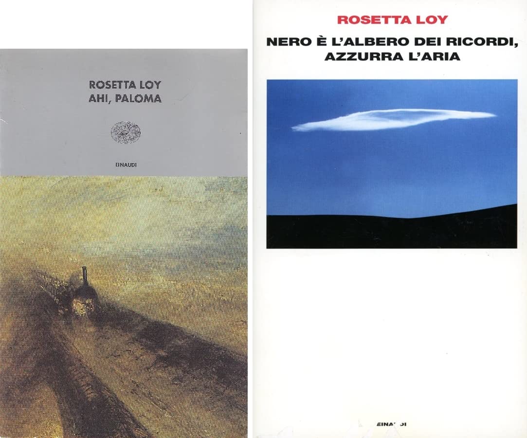 Ahi, Paloma (I coralli, Band 141) Contemporary literature