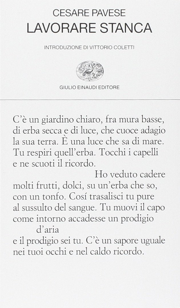 Lavorare stanca book