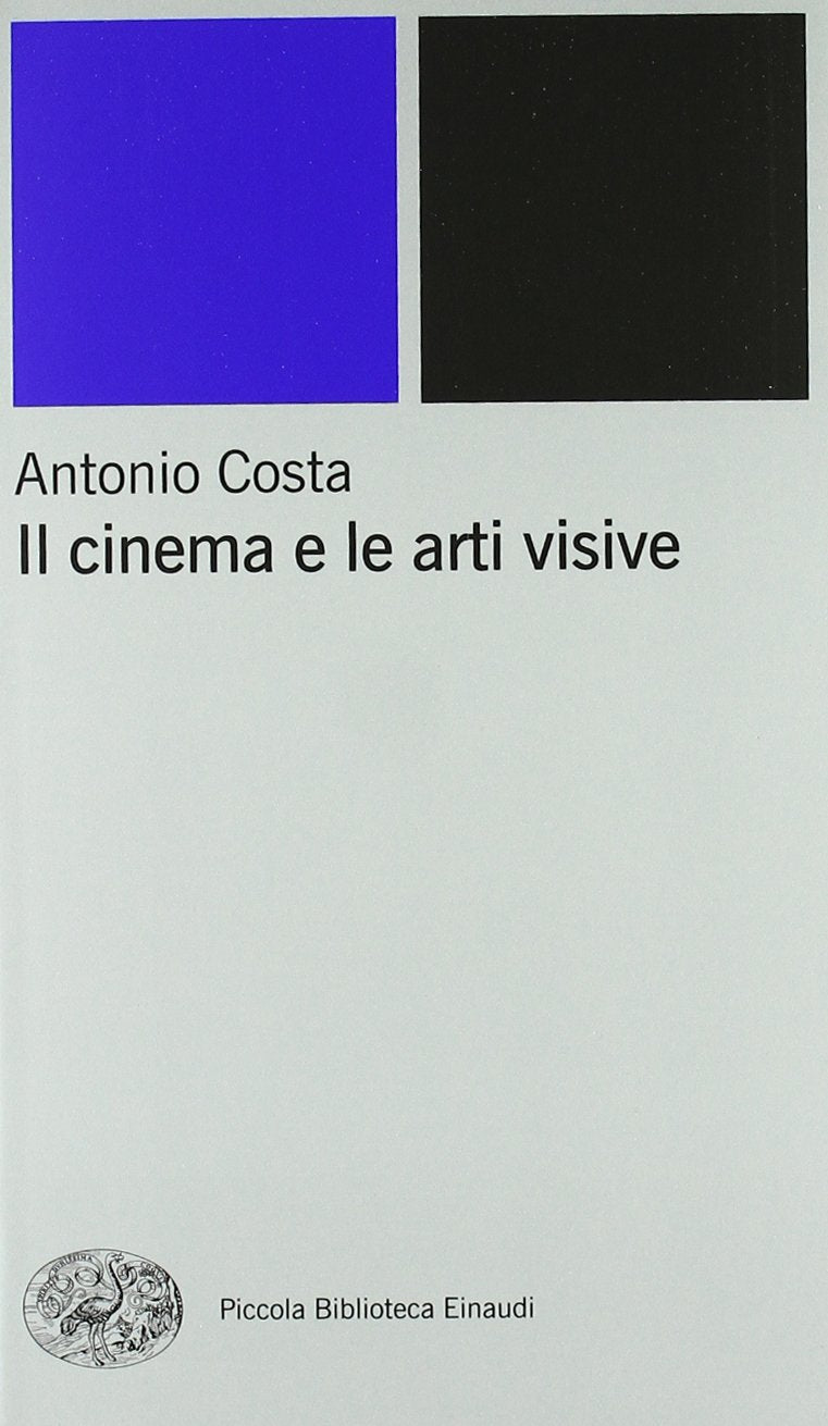 Il cinema e le arti visive book