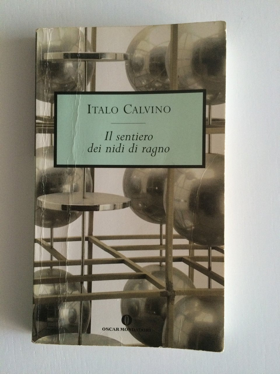 Il Sentiero Dei Nidi DI Ragno book