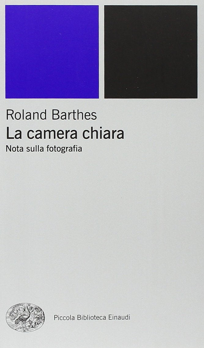 La camera chiara. Nota sulla fotografia book