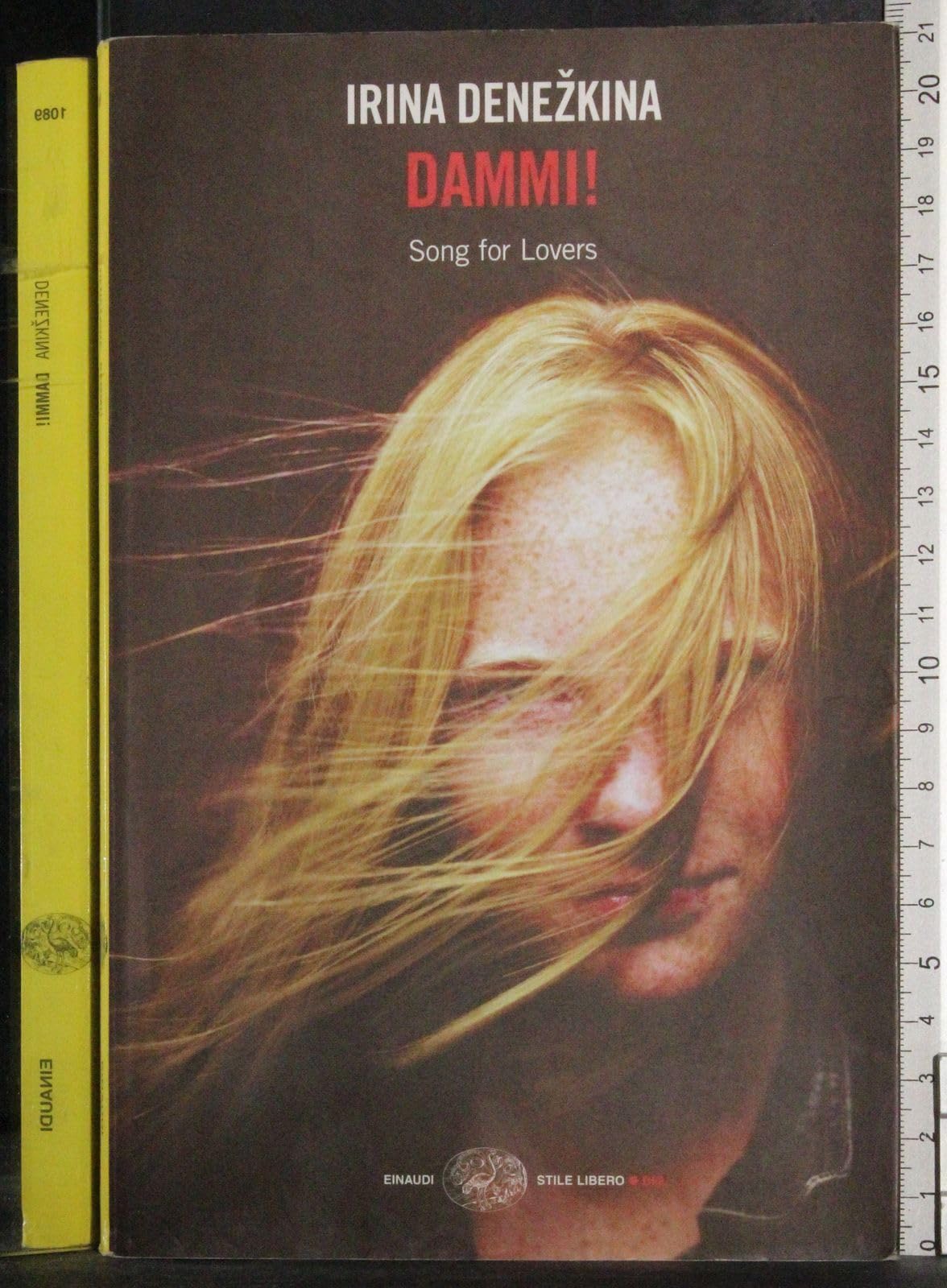 Dammi! (Songs for Lovers) (Einaudi. Stile libero big, Band 1089) Contemporary literature