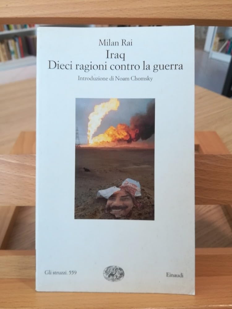 Iraq. Dieci ragioni contro la guerra (Gli struzzi, Band 559) Politics & History