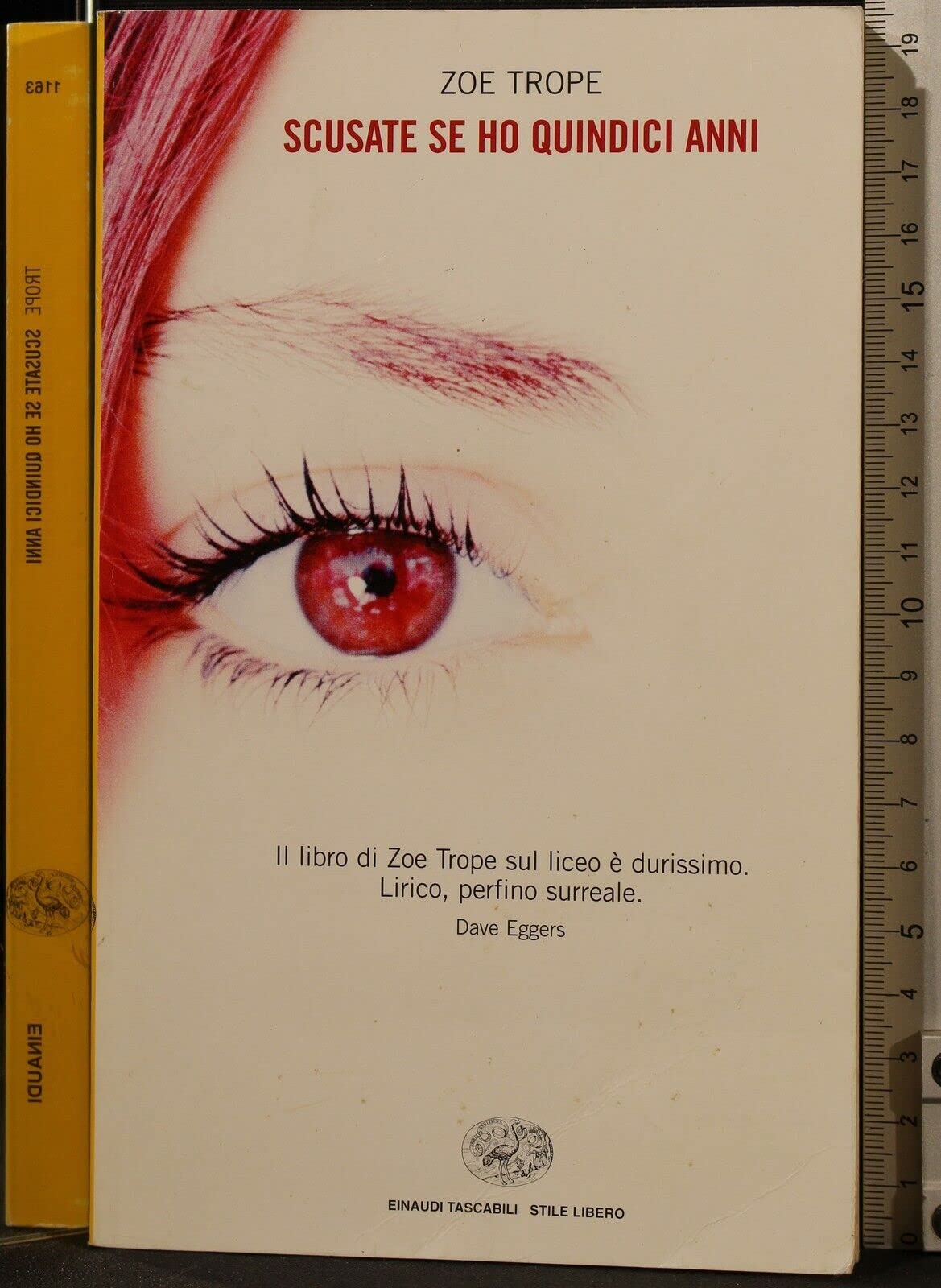 Scusate se ho quindici anni book