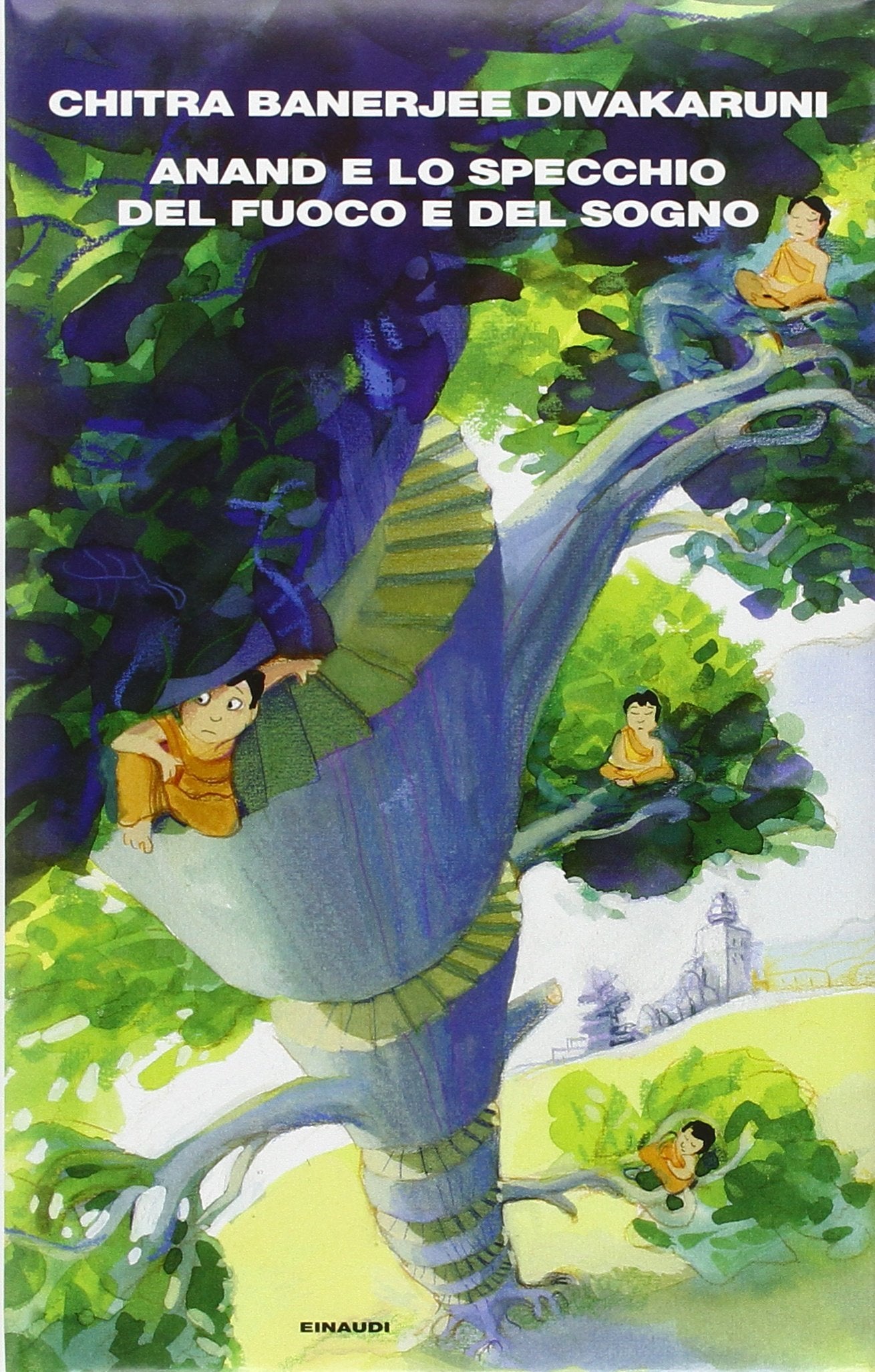 Anand e lo specchio del fuoco e del sogno. La Confraternita della conchiglia book