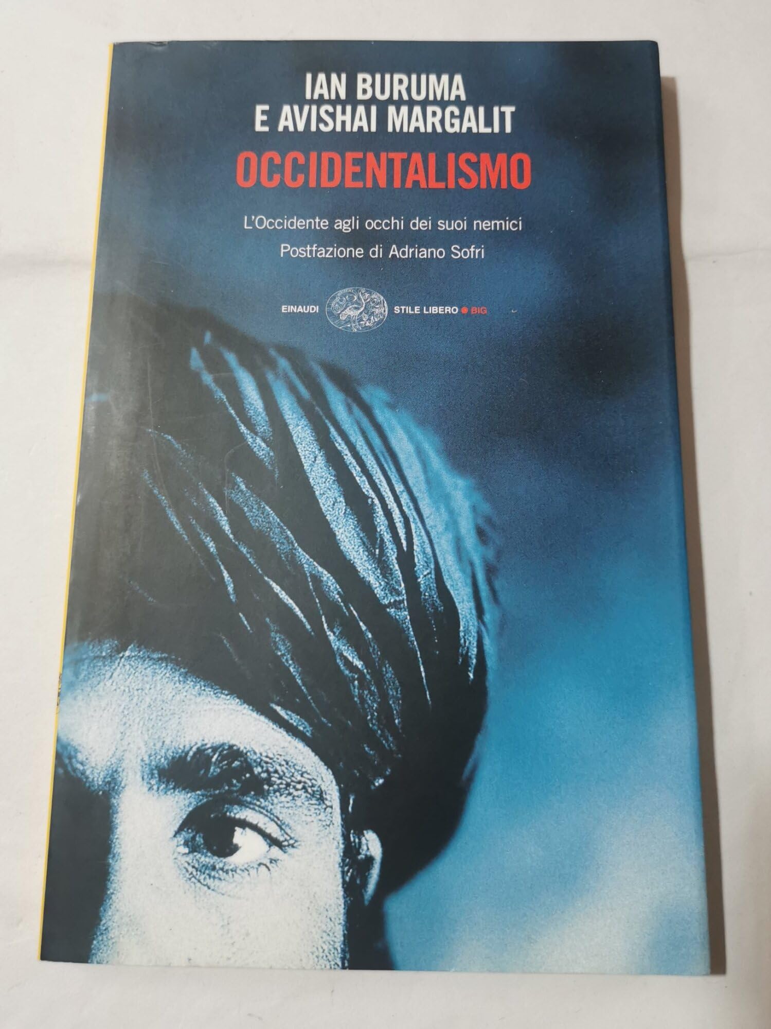 Occidentalismo. L'Occidente agli occhi dei suoi nemici book