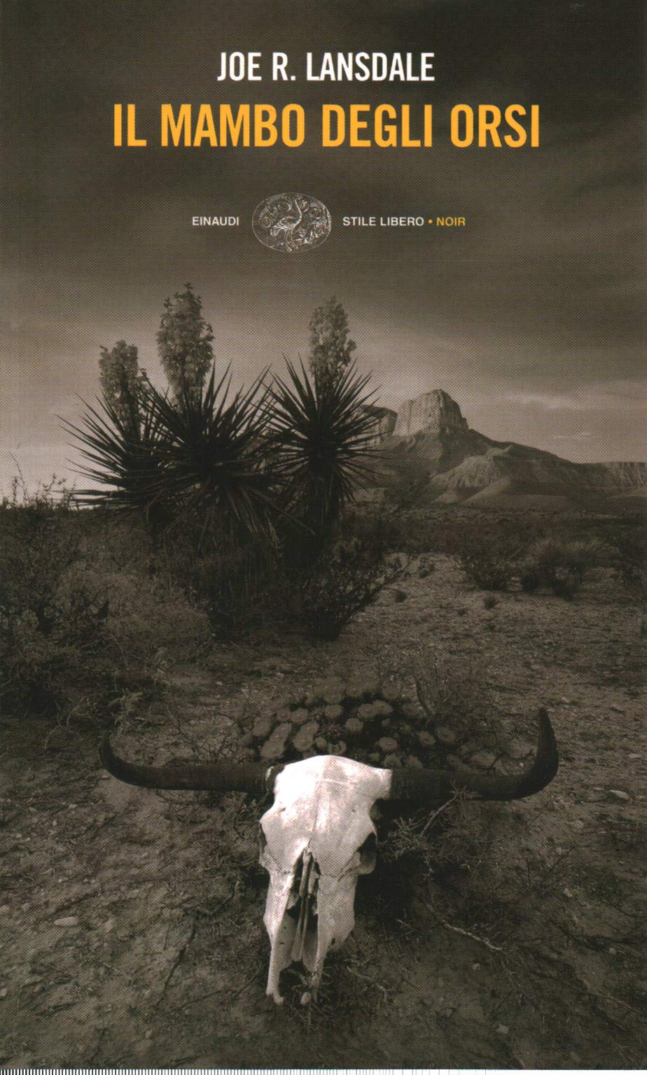 Il mambo degli orsi book