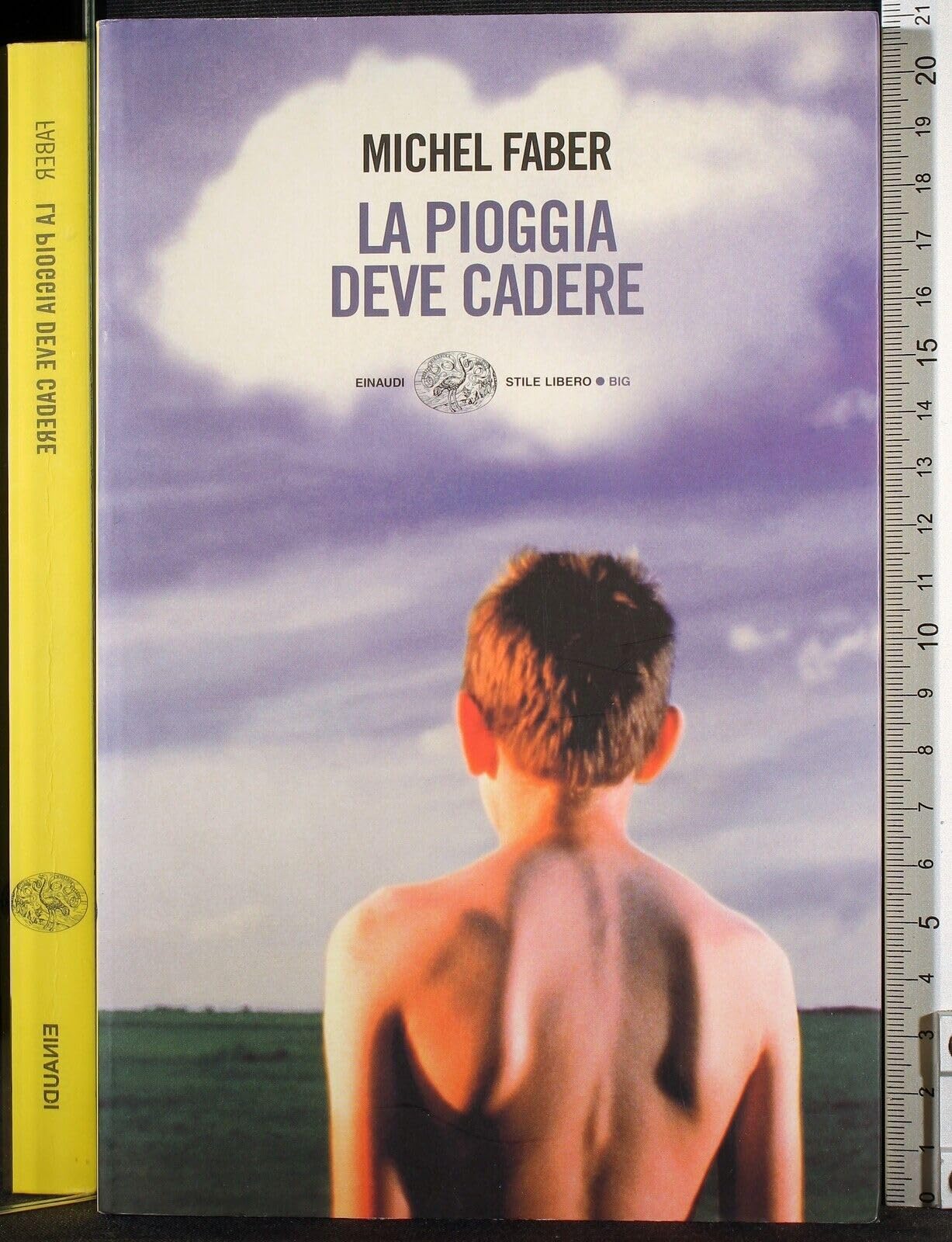 La pioggia deve cadere (Einaudi. Stile libero big) Essays & Short Stories