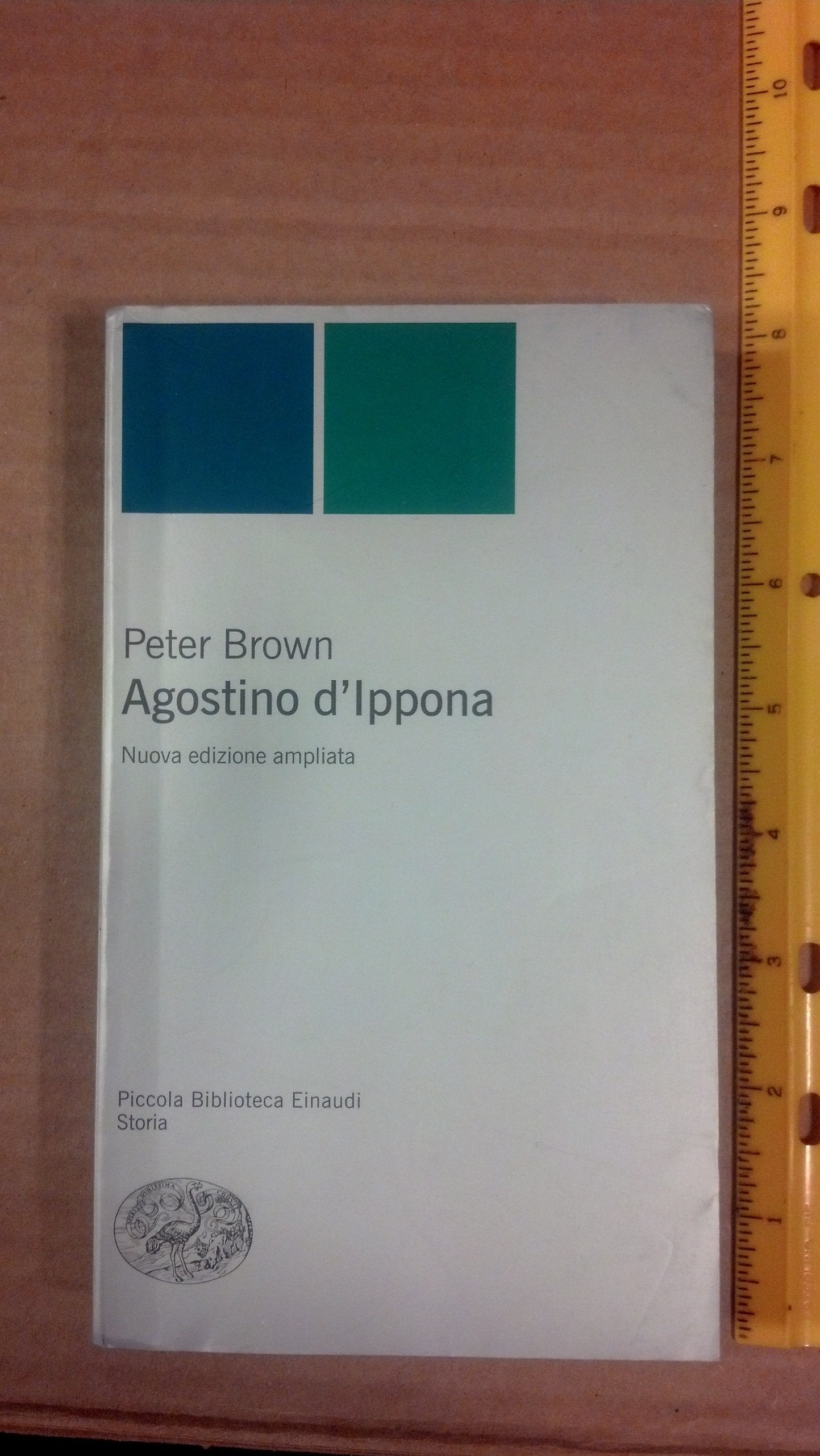 Agostino d'Ippona book