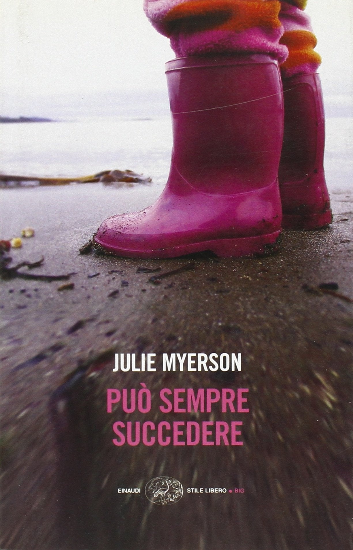 Può sempre succedere book