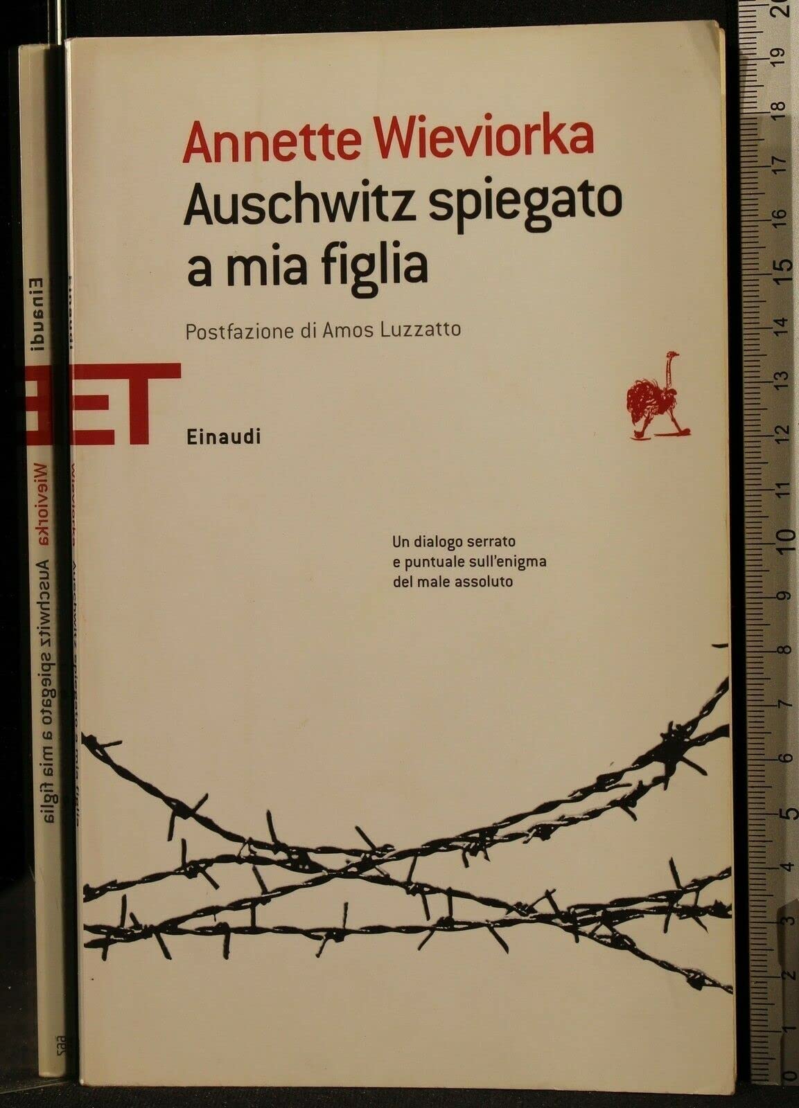 Auschwitz spiegato a mia figlia book
