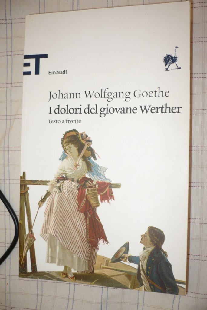 I dolori del giovane Werther book