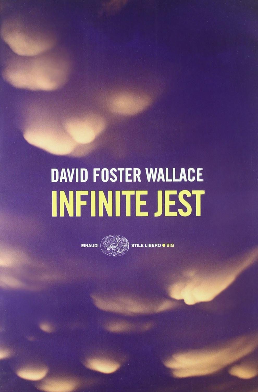 Infinite Jest (Einaudi. Stile libero big) Contemporary literature