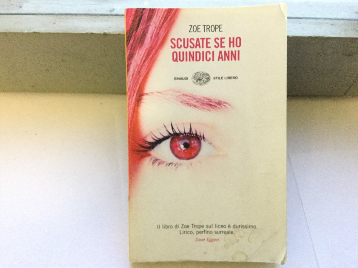 Scusate se ho quindici anni book