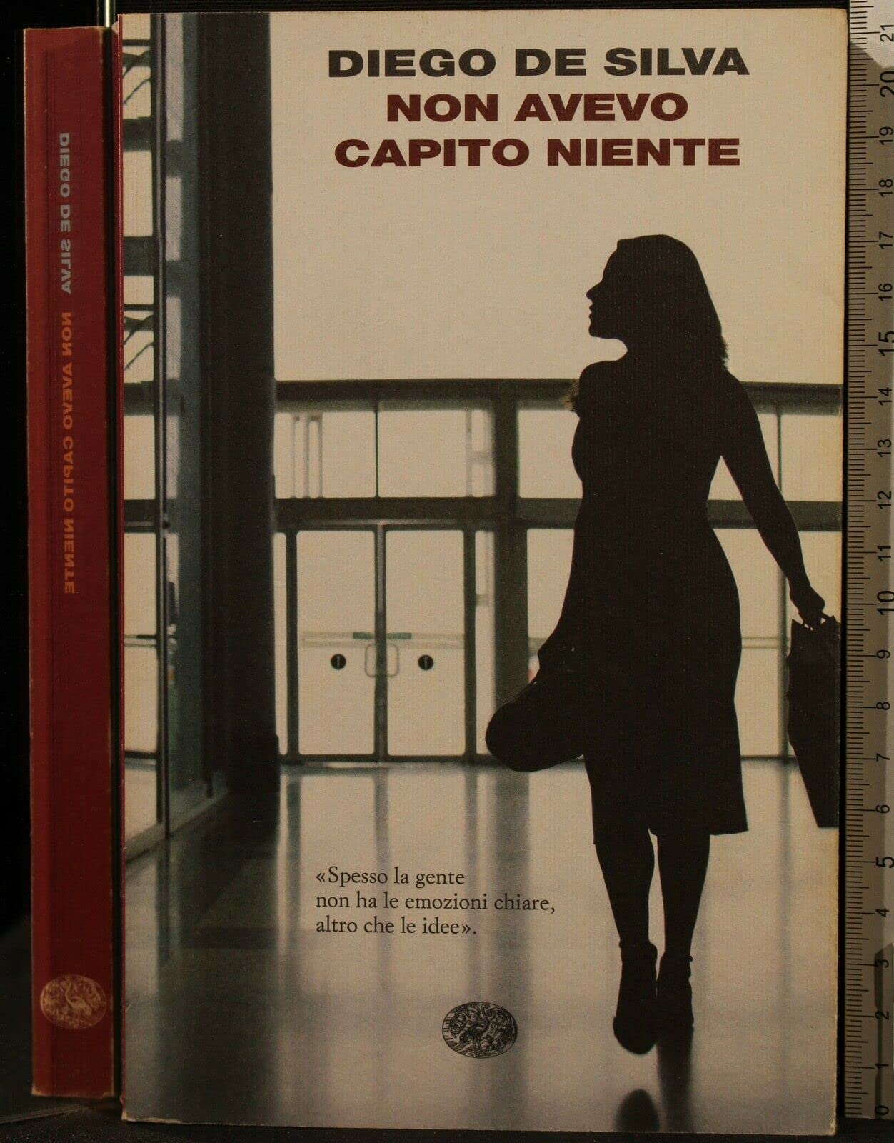 Non avevo capito niente Contemporary literature Books